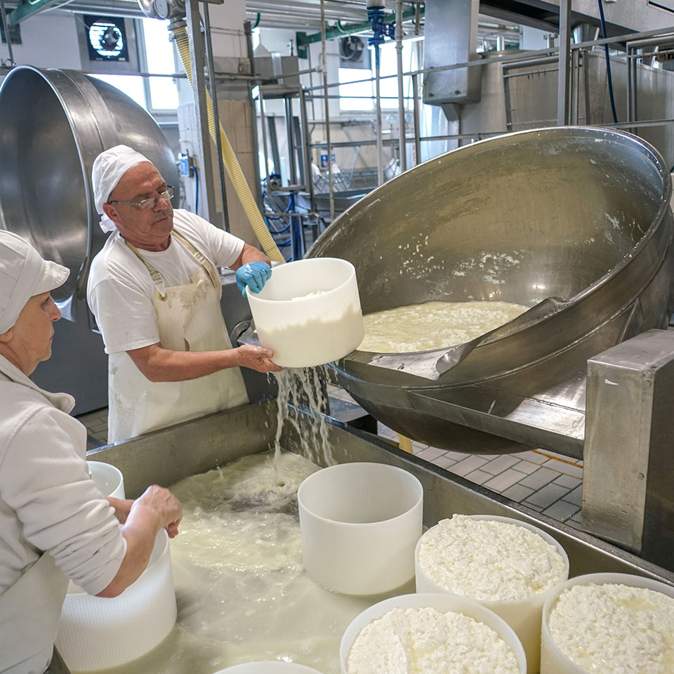 Nuovo Portale Web della Cooperativa La Majelletta
