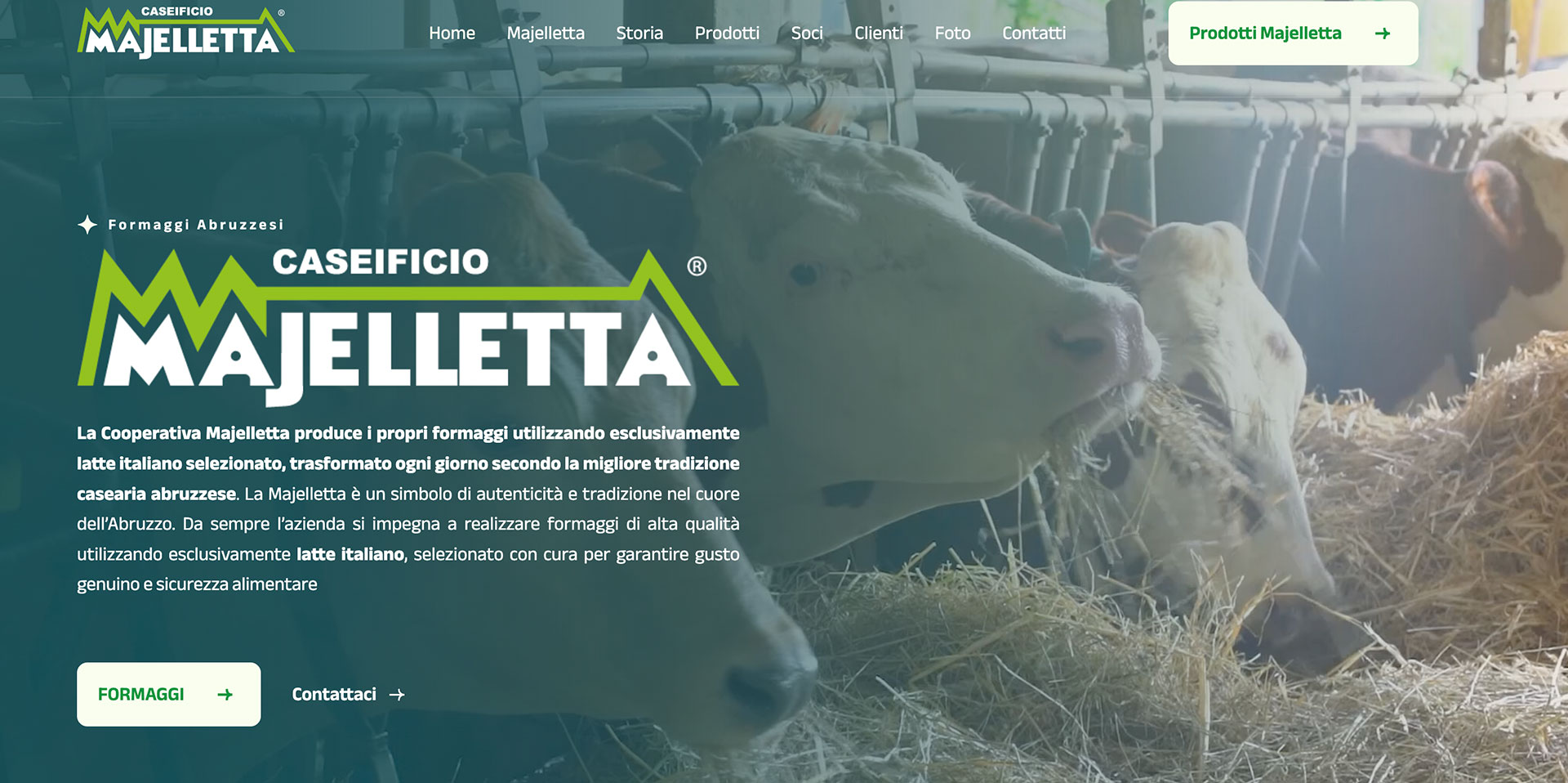 Nuovo Portale Web della Cooperativa La Majelletta | JMOTION Agenzia di Comunicazione